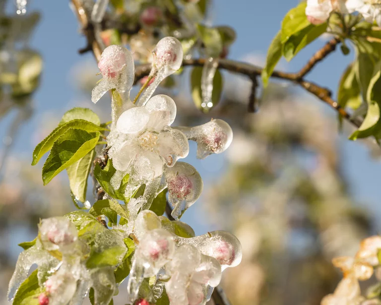 {mediaElement.alternative -> f:if(condition: '{mediaElement.alternative}', then: '{mediaElement.alternative}', else: {newsItem.title})}