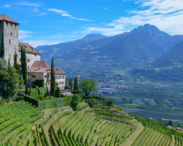 {mediaElement.alternative -> f:if(condition: '{mediaElement.alternative}', then: '{mediaElement.alternative}', else: {newsItem.title})}