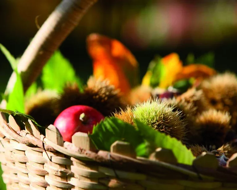 {mediaElement.alternative -> f:if(condition: '{mediaElement.alternative}', then: '{mediaElement.alternative}', else: {newsItem.title})}